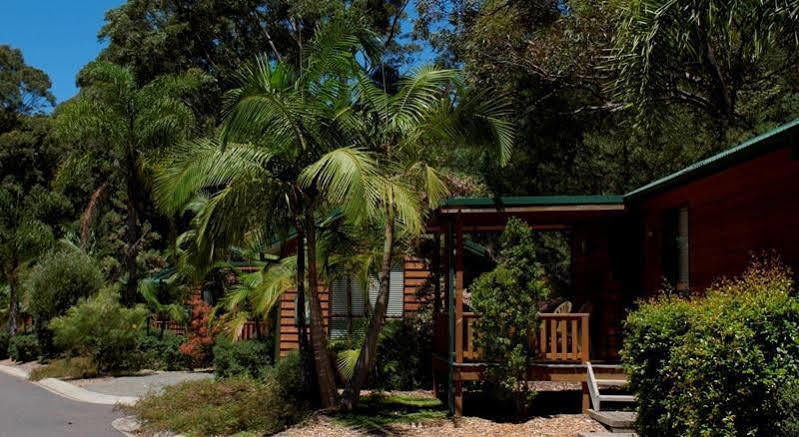 The Palms At Avoca Ξενοδοχείο Avoca Beach Εξωτερικό φωτογραφία